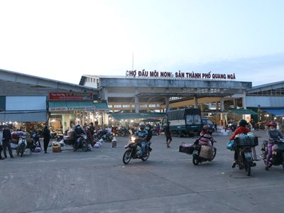 Cửu vạn trong đêm ở chợ đầu mối lớn nhất xứ Quảng