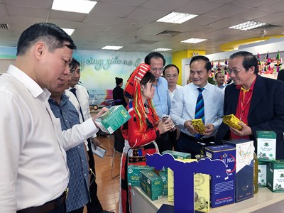 Quảng bá tiềm năng du lịch Tuyên Quang tại TP.HCM