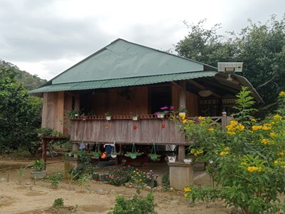 Đi tìm Giấc mơ Chapi