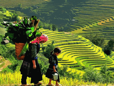 Yên Bái đón trên 1 triệu lượt khách du lịch, đạt 95% kế hoạch