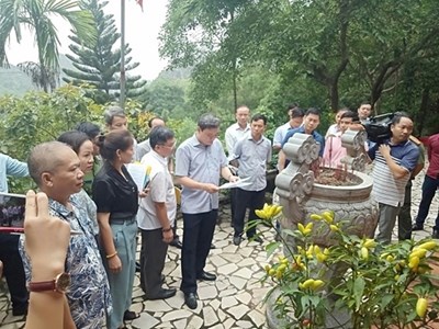 Thanh Hoá: Giao đất thuộc khu vực II di tích quốc gia khi chưa có văn bản đồng ý của Bộ trưởng Bộ VHTTDL