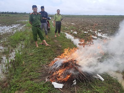 Quảng Bình ngăn chặn tình trạng săn, bắt chim trời mùa di cư