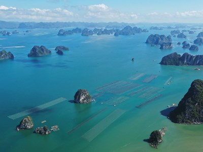 Du lịch Quảng Ninh, những con đường ngắn lại và trải nghiệm được nối dài