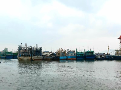 Bình Định dời hơn 1.200 tàu cá tại biển Quy Nhơn để phát triển du lịch