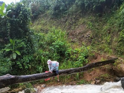 Cô giáo trẻ bám thân cây​​​​​​​ vượt suối đến lớp