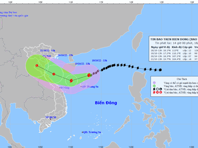 Theo dõi chặt chẽ diễn biến bão số 6, đảm bảo an toàn tàu thuyền
