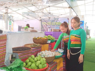 Thanh Hóa trưng bày và giới thiệu sản phẩm nông sản, thực phẩm an toàn