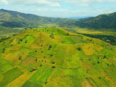 Núi lửa Chư Đăng Ya nhuộm vàng sắc hoa dã quỳ