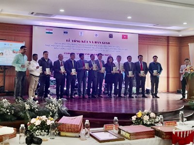 Hoàn thành trùng tu 3 nhóm tháp A, H, K tại Khu đền tháp Mỹ Sơn