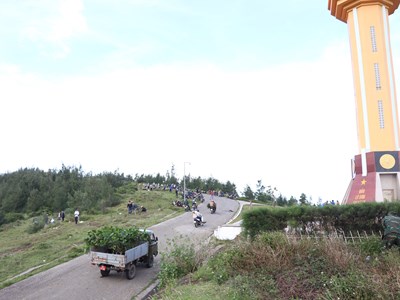 Trồng gần 1.000 cây xanh trên huyện đảo Lý Sơn