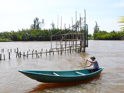 Mưu sinh với đặt nò bẫy cá trên sông Trà Bồng