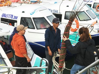 Mang mùa xuân ra đảo Cù Lao Chàm