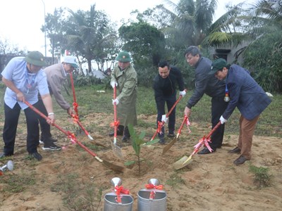 Trồng cây xanh ở khu di tích Phú Khương, thị xã Đức Phổ