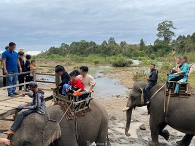 Đắk Lắk vẫn còn tình trạng du lịch “cưỡi voi” dịp Tết