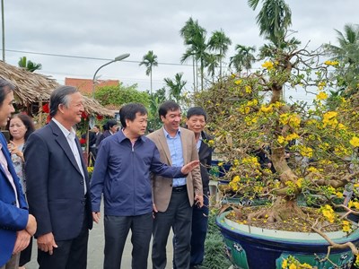 Những tuyệt phẩm mai vàng giá hàng trăm triệu đồng