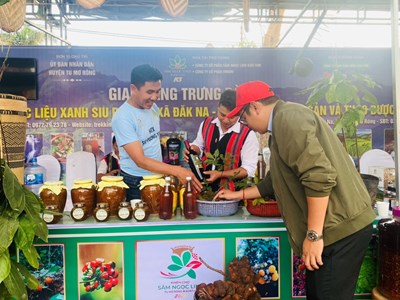 Kon Tum: Tìm hướng đi cho du lịch ở “thủ phủ” sâm Ngọc Linh