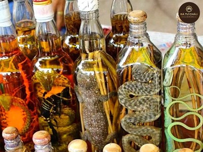 Cẩn trọng với hàm lượng, chất lượng rượu ngâm “thuốc”