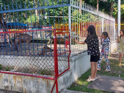 Công viên 29 tháng 3 bị “lãng quên” đến bao giờ?