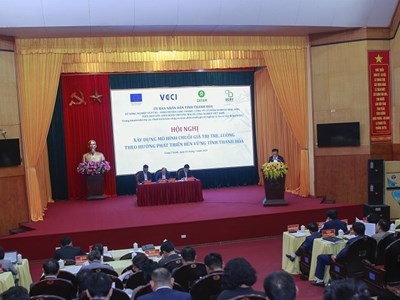 Thanh Hóa phát triển mô hình chuỗi giá trị tre, luồng bền vững