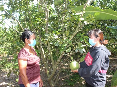 Khánh Hòa:  Đẩy mạnh công tác giảm nghèo bền vững