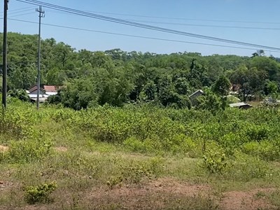 Hoàn thiện các thủ tục triển khai dự án bãi đỗ xe tham quan lăng Tự Đức - Đồng Khánh