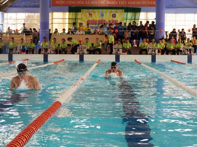 Hơn 230 vận động viên tranh tài Giải bơi – lặn vô địch quốc gia bể 25m
