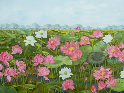 Những bức hoạ về vẻ đẹp thuần khiết của Sen Việt