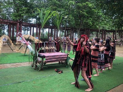 Nghi thức dựng cây nêu của dân tộc Cơ Tu