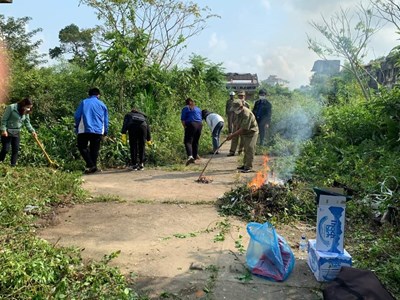 Thu gom kim tiêm ma túy ở khu vực Dựán Công viên Thiên Bút