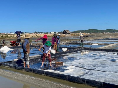 Đồng muối Sa Huỳnh trở thành điểm du lịch cộng đồng hấp dẫn
