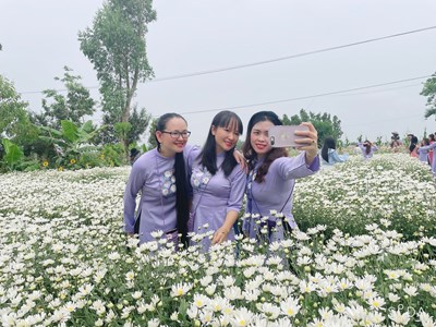 Hơn 20 hoạt động tại Lễ hội Tam Kỳ- Mùa hoa sưa năm 2023