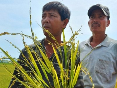 Kon Tum: Thiệt hại gần 6,8 tỉ đồng do mưa đá kèm gió lốc