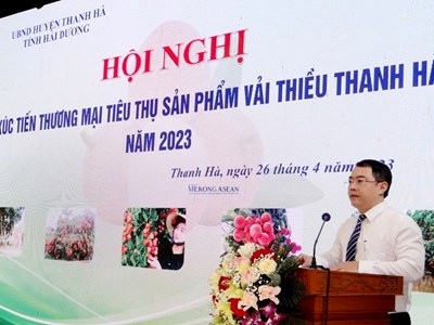 Hải Dương: Tổ chức Hội nghị xúc tiến thương mại tiêu thụ vải thiều