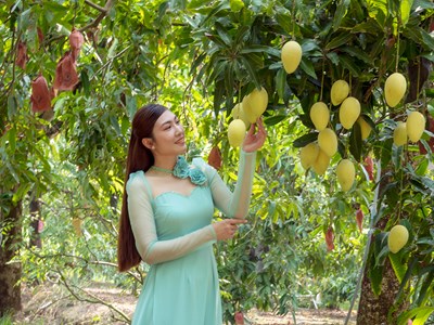 Đất phương Nam lên “thực đơn” đón khách chơi lễ