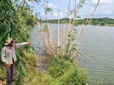 Quảng Ngãi: Sạt lở ven sông Trà Bồng và nỗi lo mất đất sản xuất