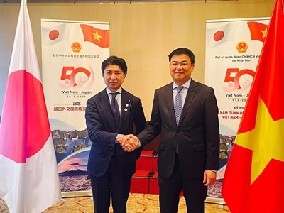 Lễ hội Việt Nam tại Nhật Bản