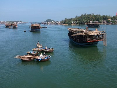 Quảng Ngãi: Ngư dân làng câu mực thu tiền tỉ sau phiên biển đầu năm