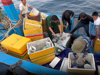 Quảng Ngãi: Xử lý nghiêm các trường hợp khai thác và trục vớt cổ vật trái phép