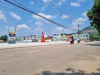 Chỉnh trang đô thị, đ​​​​​​​ang tâm triệt hạ hàng cây sao đen