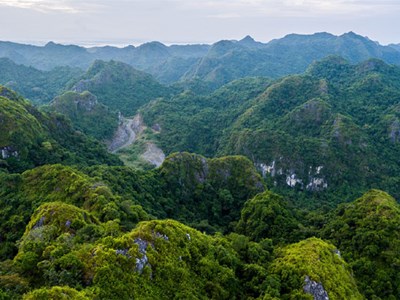 Cuộc thi ảnh “Đa dạng sinh học và cảnh quan Khu Dự trữ sinh quyển quần đảo Cát Bà”