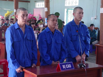 Hơn 21 năm tù cho 3 đối tượng phá rừng trái phép