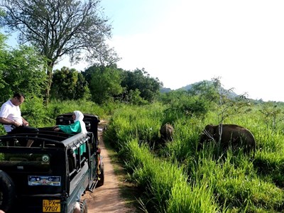 Khám phá Sri Lanka - hòn ngọc Ấn Độ Dương: Bài 3: Những điều chỉ có ở Sri Lanka