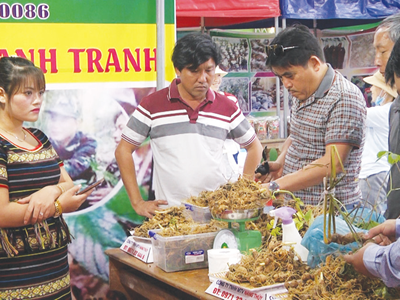 Quảng Nam kết nối sản phẩm OCOP vào thị trường du lịch