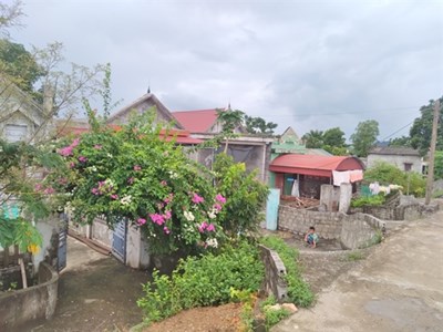 Thanh Hóa sẽ hỗ trợ 8.517 hộ nghèo, hộ cận nghèo xây mới hoặc sửa chữa nhà ở