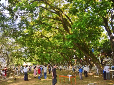 Ngày hội Văn hóa, Thể thao và Du lịch biển Tam Kỳ