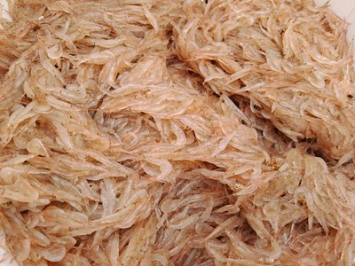 Ngư dân bãi ngang Quảng Bình hồ hởi đi xúc ruốc biển