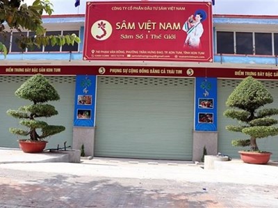 Sâm Ngọc Linh Kon Tum: Nhiều hành vi trục lợi thương hiệu
