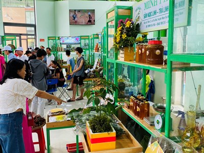 60 gian hàng tham gia phiên chợ sâm Ngọc Linh lần thứ 56