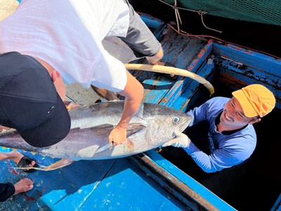 Quảng Ngãi: Đẩy mạnh tuyên truyền chống khai thác IUU