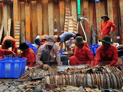 Có một điều đặc biệt từ hiện tượng Bình Châu